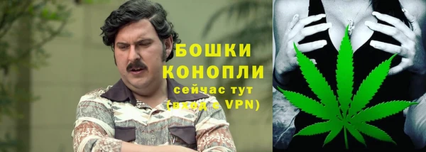 бошки Тайга