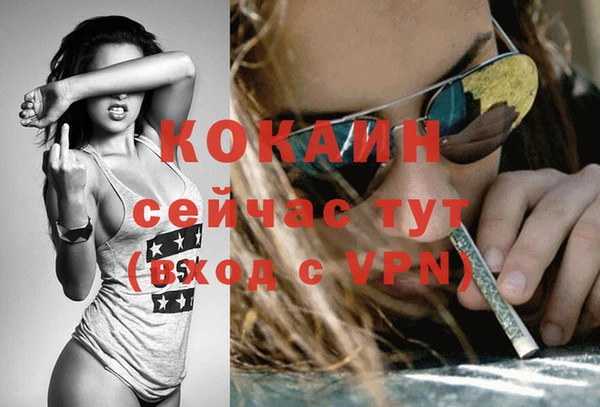 бошки Тайга