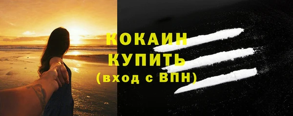 бошки Тайга