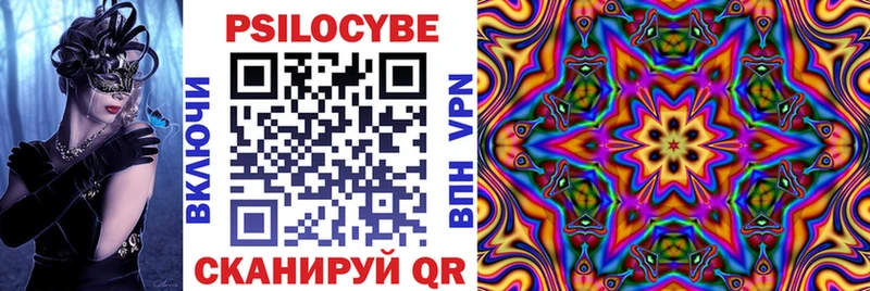 Купить  Мураши  Галлюциногенные грибы Psilocybine cubensis 